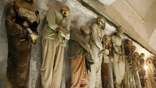 Crypts Pets and Marionettes Palermo [upl. by Yalcrab]