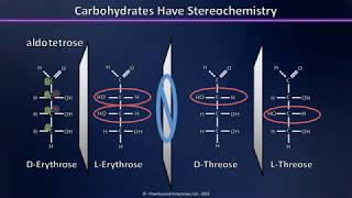 A Brief Introduction to Carbohydrates Aldoses Ketoses and their Stereochemistry Explained [upl. by Drucy512]