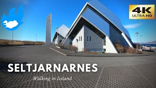 Iceland Walking Tour  Seltjarnarnes 4K [upl. by Nabatse]