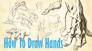 How To Draw HANDS [upl. by Loresz]