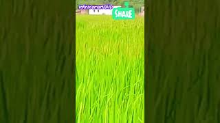 Infinixsmart8HDlike commentshare follow me [upl. by Layap]