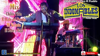 Los Indomables En Vivo  Mix  Chilito Pikin El Baile del Perrito Mi Vecinita y Mas [upl. by Viveca]