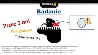 Jak za pomocą myśli zmienić swój mózg badanie [upl. by Dier431]