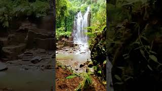 let the waterfall wash over me waterfall relaxingmusic relaxing music wisata nature [upl. by Reinert343]