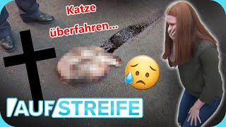 KATZE überfahren 😿​​✝️ Ist der haarige Nachbarschaftsstreit eskaliert​​​  Auf Streife  SAT1 [upl. by Joye]