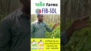 Impact of FIBSOL technology in Betelvine [upl. by Enilav]