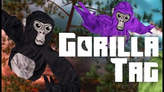 Gorilla Tag LIVE STREAM [upl. by Gunthar287]