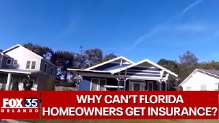 Insurers are dropping Florida homeowners across the state but why [upl. by Kelwunn512]