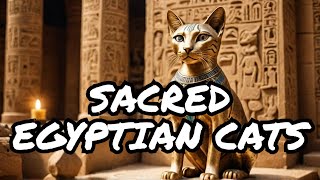 The Sacred Cats of Ancient Egypt [upl. by Ylam]