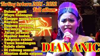 LAGU LAGU TARLING FULL ALBUM ANICA NADA [upl. by Naasah447]