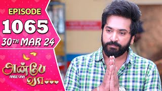 Anbe Vaa Serial  Episode 1065  30th Mar 2024  Virat  Shree Gopika  Saregama TV Shows Tamil [upl. by Aeret]