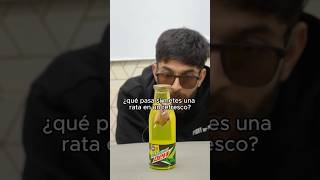 ¿que pasa si metes una rata en un refresco [upl. by Htenek600]