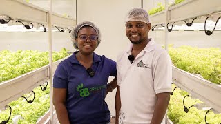 The Biggest Urban Indoor Farm in Ghana  Farm Estates Ltd [upl. by Alyhs902]