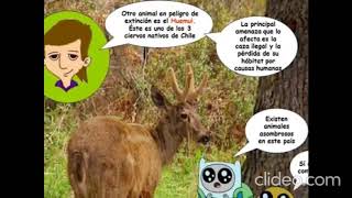 cuidemos el hábitat de los animales 2º básico [upl. by Socin]