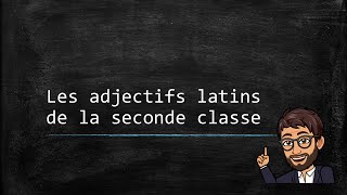 Ladjectif latin 02  Les adjectifs de la seconde classe [upl. by Kcirdahs372]