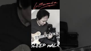 La Bamba  Ritchie Valens  Sleep Walk  Santos amp Johnny [upl. by Leirbag]