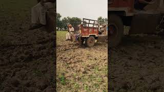 Manure amp Fertilizer 😱😱  AgriFarm Vlog  shorts ytshorts farming [upl. by Akined]