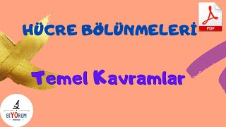 Hücre Bölünmesi Temel Kavramlar [upl. by Xyla]