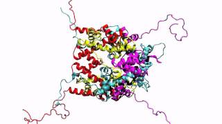 The 1 microsecond histone octamer dynamics without DNA [upl. by Ottilie70]