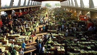 Maior central de distribuição de alimentos da América Latina Ceagesp SP [upl. by Dahl]