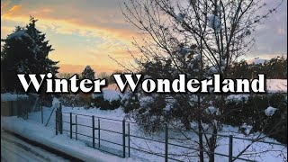 Selena Gomez  Winter Wonderland lyrics [upl. by Dnob]