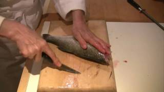 How to scale gut and fillet a fish [upl. by Jacoba979]