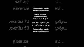 Nila Kayum Neram 💖 blackscreenlyrics [upl. by Dione]