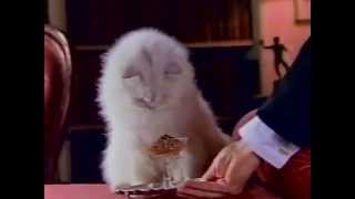 Fancy Feast commercial 1985 [upl. by Whitaker909]