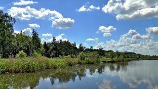 The Secret Life of Wetlands Finding Solutions to Environmental Threats at UMD [upl. by Sternlight]