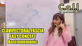 Clavipectoral Fascia BEST MNEMONIC amp EXPLANATION MADE EASY WITH Dr hasana [upl. by Nicolas]