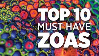 Top 10 Must Have Zoanthids  World Wide Corals [upl. by Iaverne]