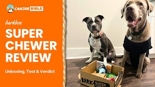 BarkBox Super Chewer Review amp Ratings Is This Tough Toy Box Worth It Unboxing amp Test [upl. by Eetnod]