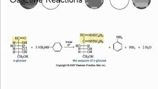 Carbohydrates 39 Osazone Formation [upl. by Direj928]