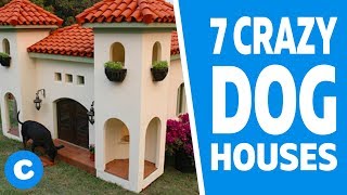 7 Extreme Dog Houses [upl. by Araik]