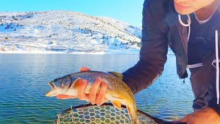 Winter Trout Fishing At A Snowy Lake The Search For A Record Breaker [upl. by Lananna740]