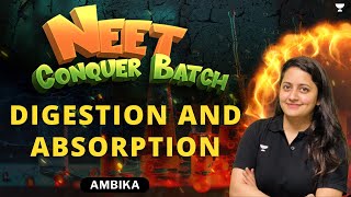 Digestion and Absorption  Part  1  NEET 2024 Conquer Batch  Ambika Sharma [upl. by Fabi]