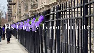 Cicely Tyson Tribute [upl. by Ocsisnarf]