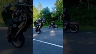 17 Sportster 1200 XL Custom WHEELIE with FORWARD CONTROLS🫣subscribe 2024 stunt fyp short [upl. by Benedicta942]