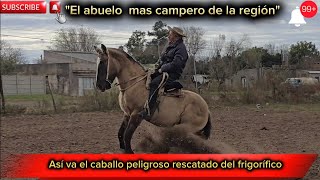 ⚠️ AVANCE Y CORRECION DE CABALLO DURO ✅️ [upl. by Renraw]