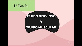 TEJIDO NERVIOSO Y MUSCULAR 1º BACH [upl. by Linis]