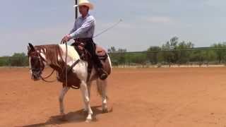 Slow Spin  Dale Fredricks Horse Training [upl. by Nniw362]