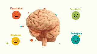 Los Químicos de Felicidad dopamina serotonina ocitocina y endorphina [upl. by Nyrat]