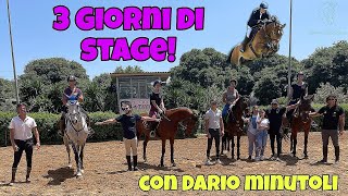 STAGE DI EQUITAZIONE con il mio nuovo cavallo🤩 [upl. by Joashus807]