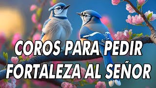 50 Cadena De Coros Antiguos Para Pedir Fortaleza Al Señor 🙏 Coritos De Fuegos Poder Y Unción [upl. by Minne576]