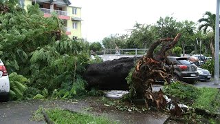 La Réunion alerte rouge levée après le passage du cyclone Belal  AFP [upl. by Addis852]