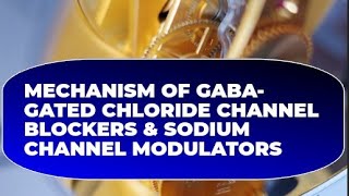 Mechanism of GABAGated Chloride Channel Blockers amp Sodium Channel Modulatorsentomology [upl. by Osmund193]