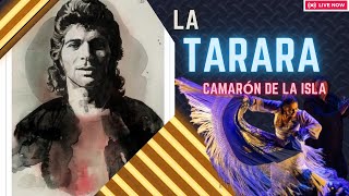 Camarón de la Isla  La Tarara Bass Flamenco [upl. by Analed]