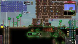 Modded Terraria Ep 28 [upl. by Hainahpez472]