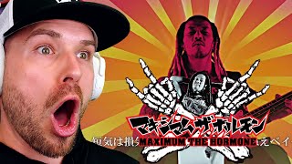 First Time Hearing MAXIMUM THE HORMONE REACTION [upl. by Lemor]