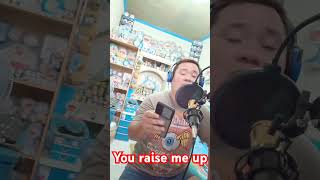 You raise me up  nuhj cover [upl. by La]